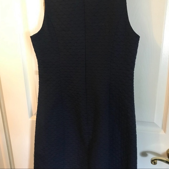 Lilly Pulitzer Dress - Picture 4 of 5